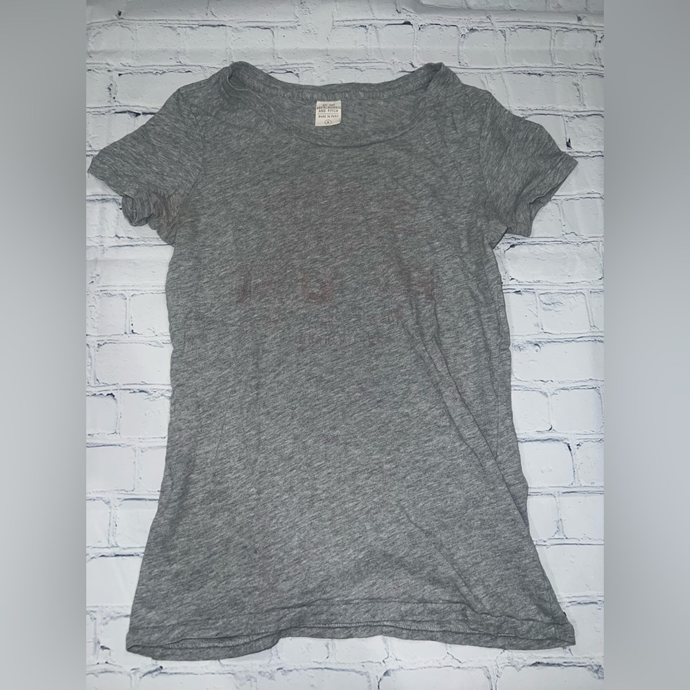 Abercrombie & Fitch Gray Fitted Short Sleeve T-Shirt (faded red graphic)